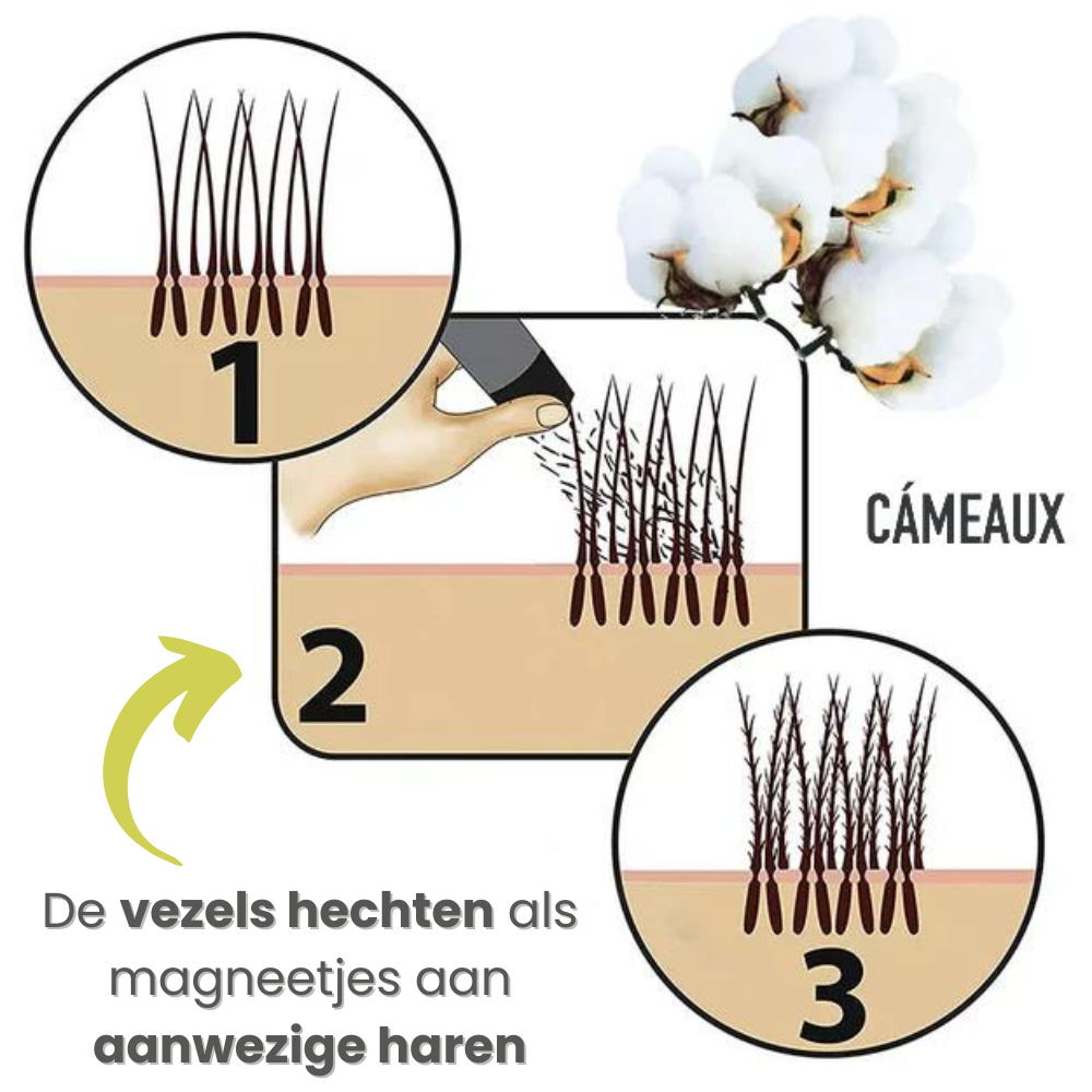 Hoe hechten haarvezels zich Cameaux